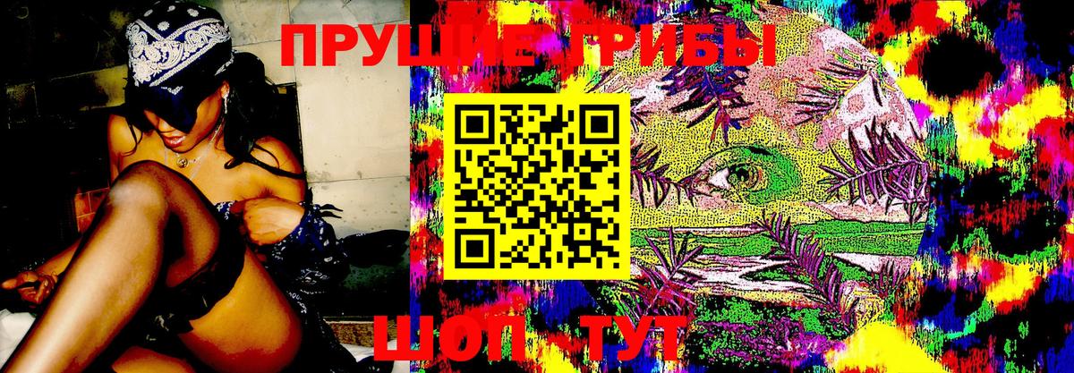 Назарово  купить наркоту  Вход с VPN  Псилоцибиновые грибы прущие грибы 